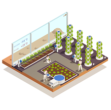 gameplay